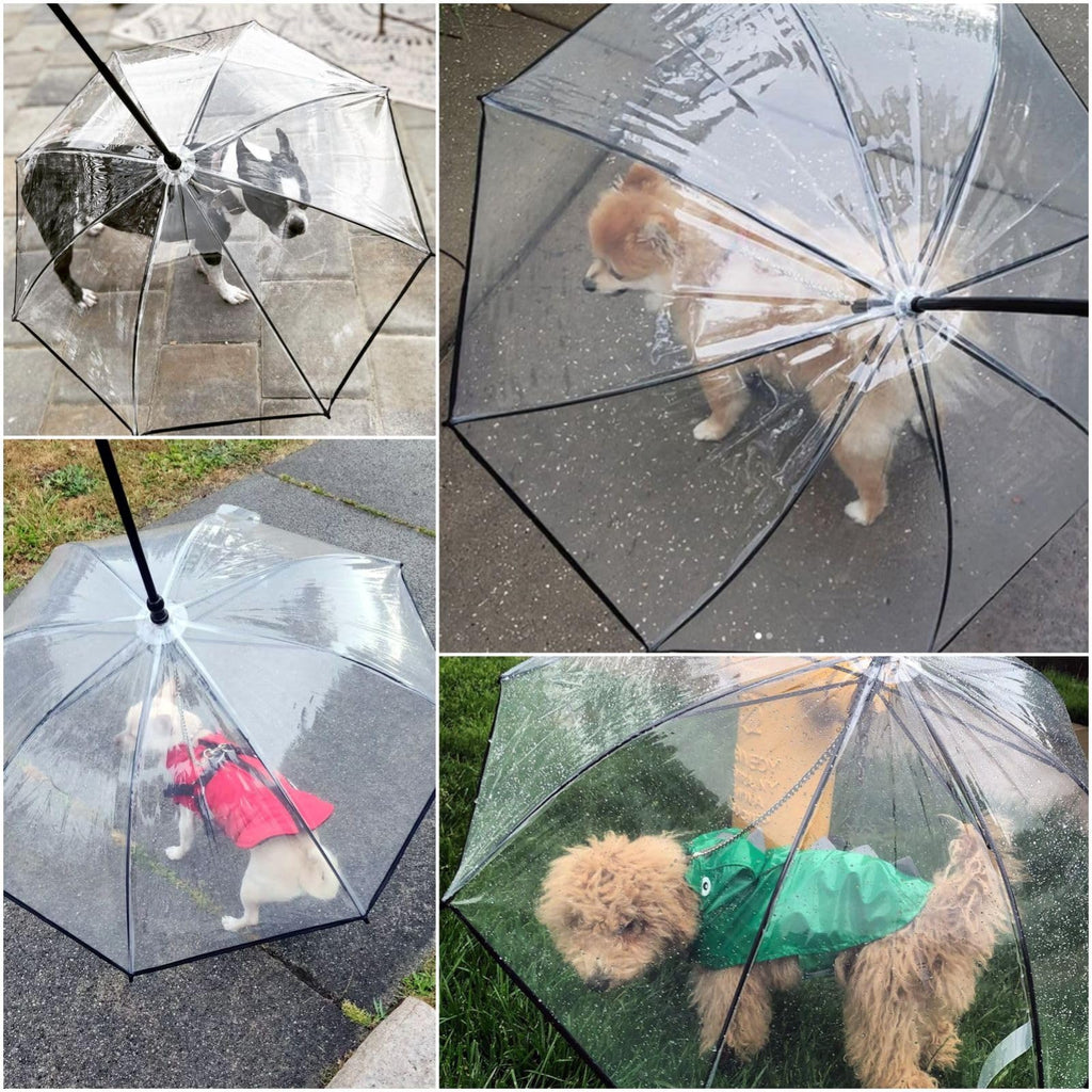 Pet umbrella