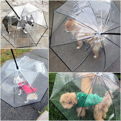 Pet umbrella