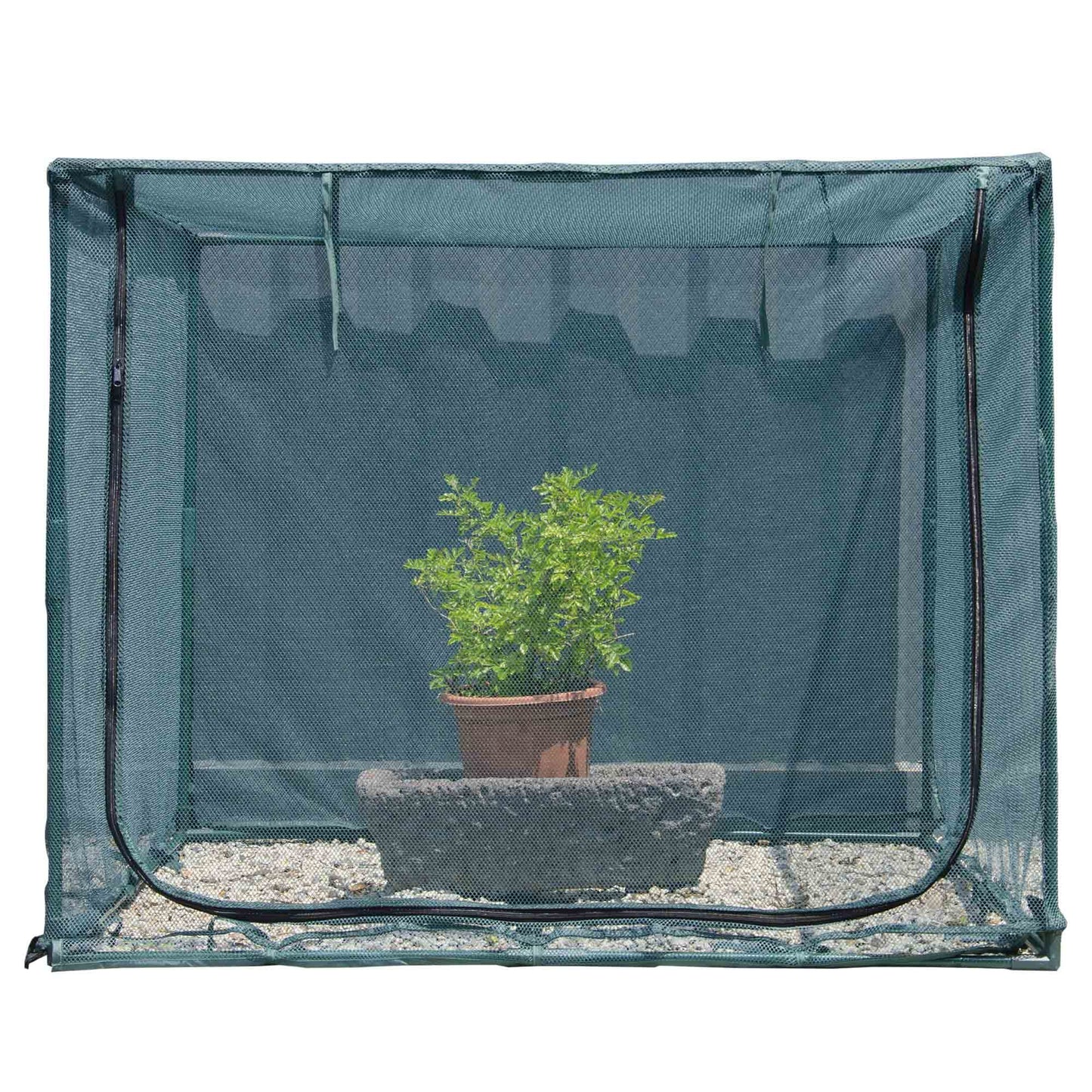 Easy-Setup Plant Protection Cage