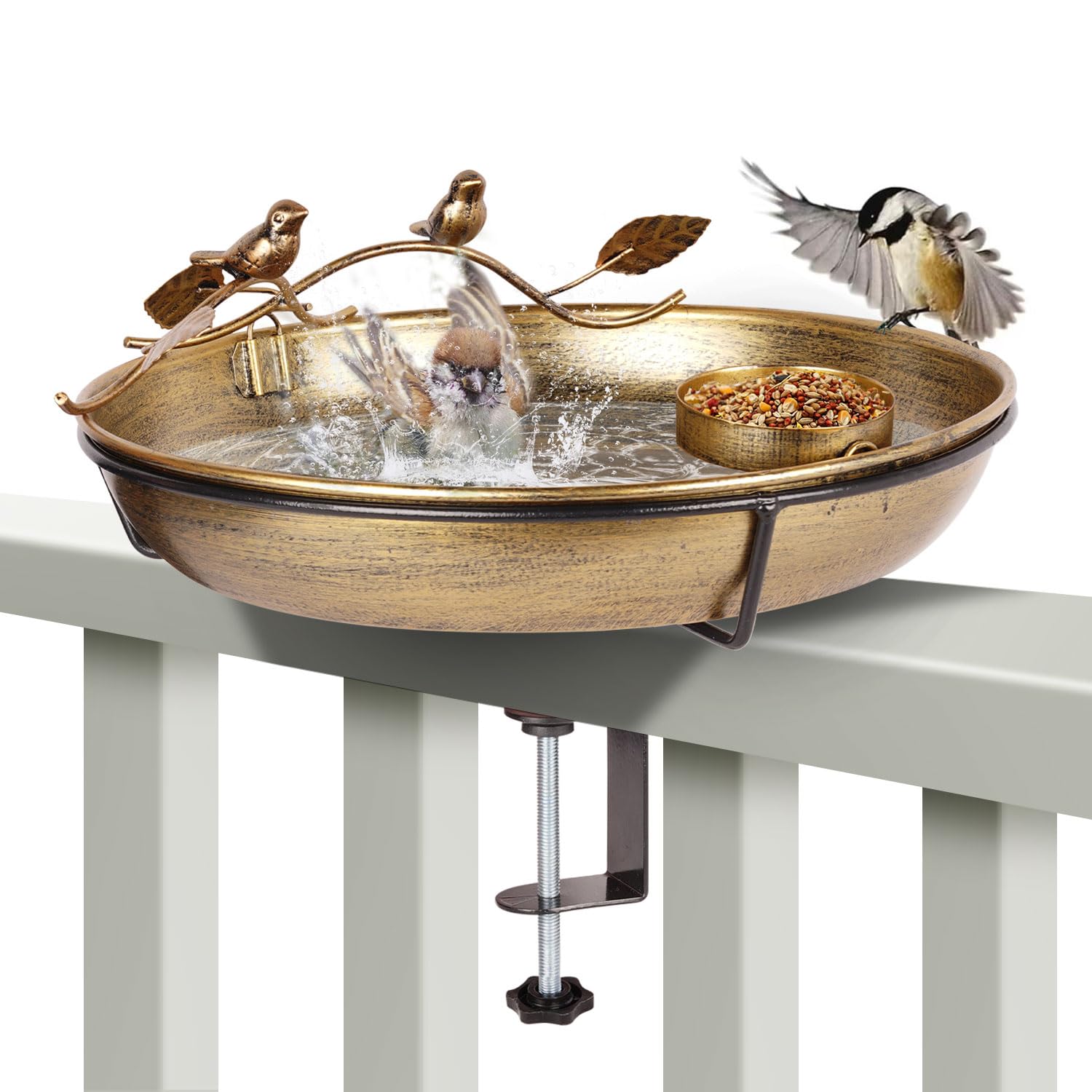 Bird Bath