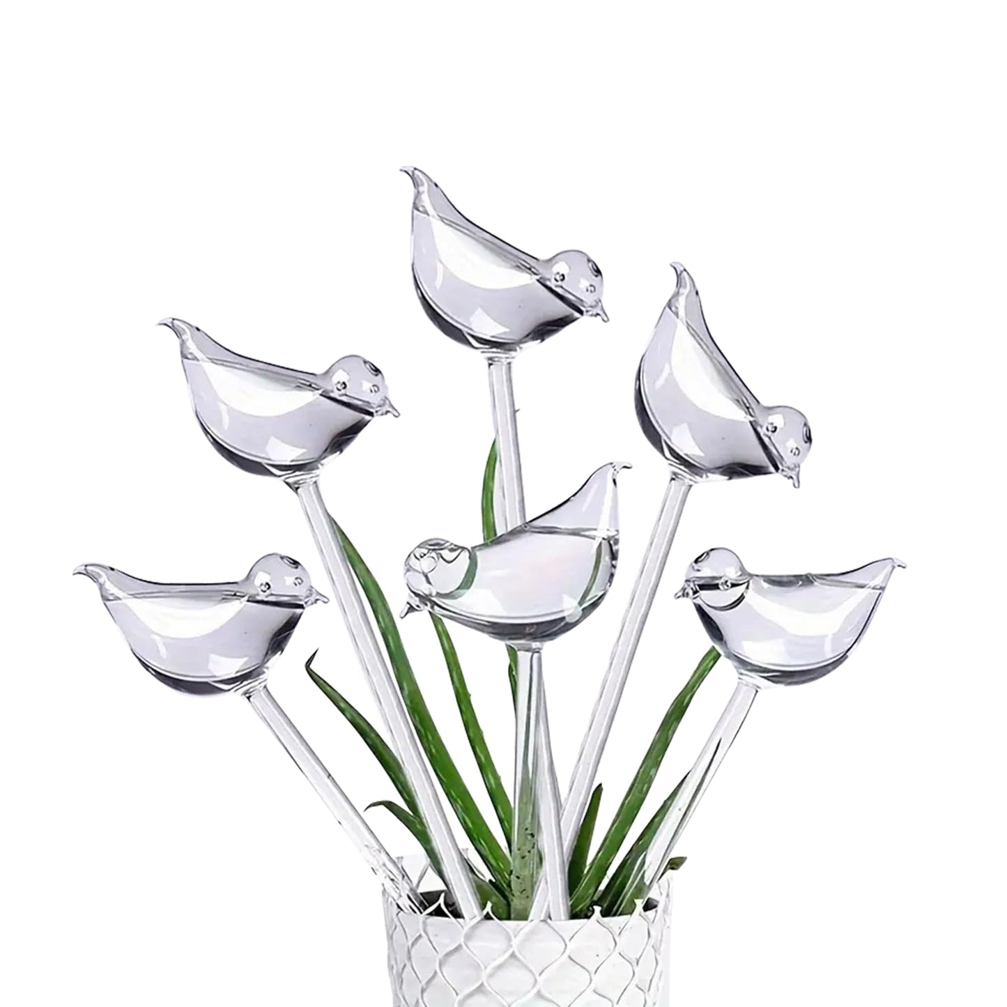 Glass Bird Plant Waterer