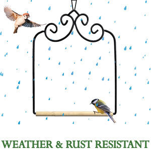 Hummingbird Swing