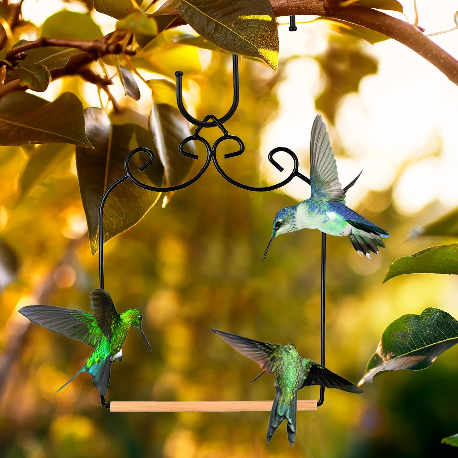 Hummingbird Swing