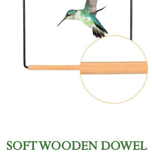 Hummingbird Swing