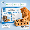 Cat scratch box
