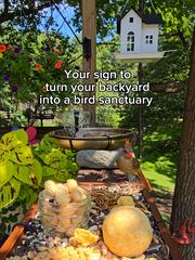 Open bird feeder