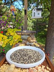Open bird feeder